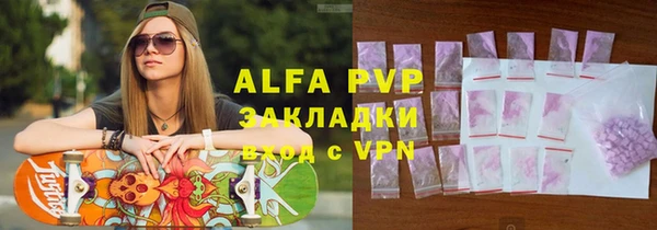 шишки Белокуриха