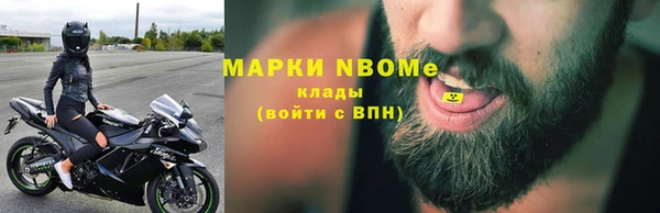 шишки Белокуриха