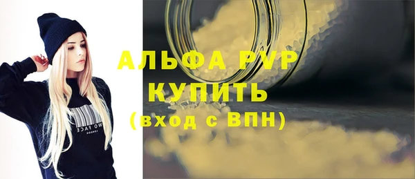 шишки Белокуриха