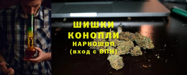 шишки Белокуриха