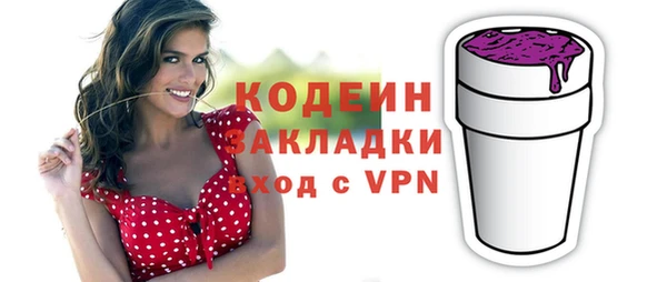 шишки Белокуриха