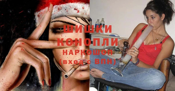 шишки Белокуриха