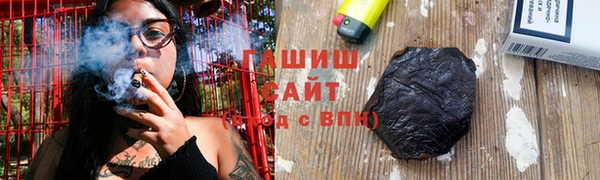 шишки Белокуриха