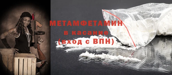 шишки Белокуриха