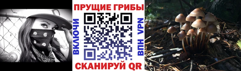 наркошоп  Малоярославец  Галлюциногенные грибы прущие грибы 