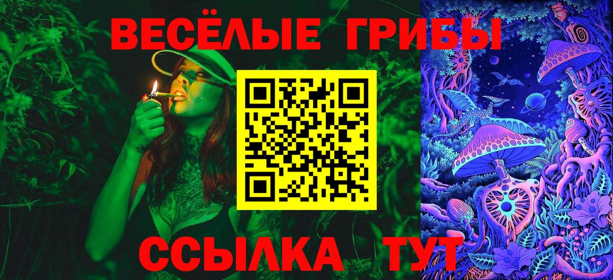 Псилоцибиновые грибы мухоморы  наркота  Псилоцибиновые грибы Psilocybe  Малоярославец  Вход с VPN 